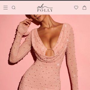 NICE Long Sleeve Deep Plunge Mini Dress in Rose (WORN ONCE)